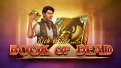 Book of Dead at VeryWell Casino